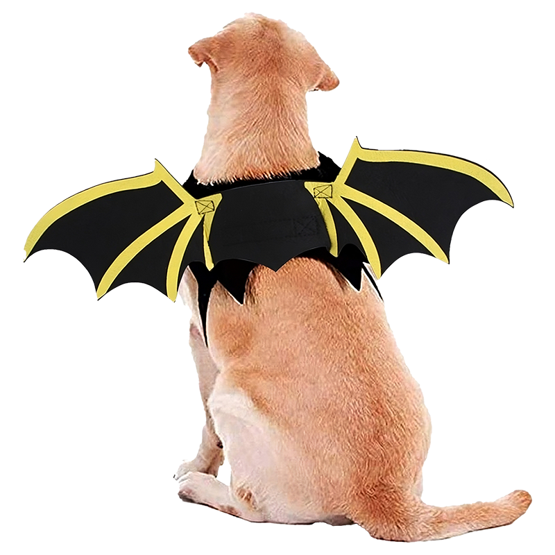 Kostium Nietoperza na Halloween dla Psa