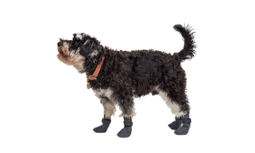 Zestaw czterech sportowych skarpetek dla psa w szarym kolorze z antypoślizgowymi podeszwami, lekkie i łatwe do czyszczenia.