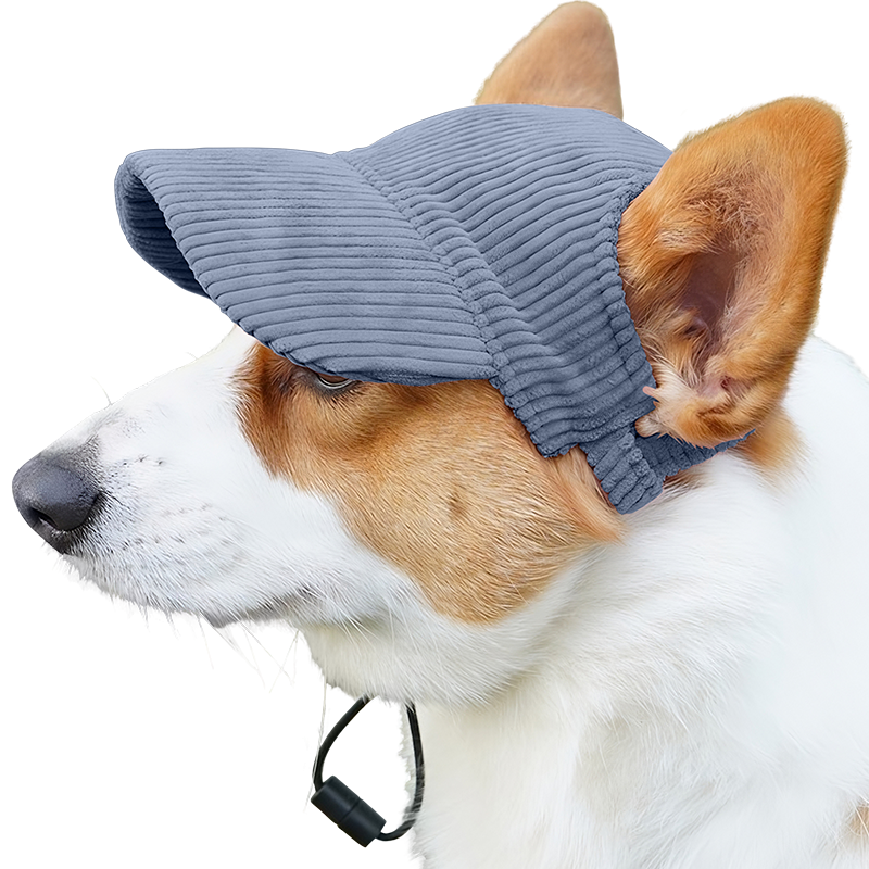 Oddychający Sportowy Kapelusz dla Psa na Lato Corgi w oddychającym niebieskim sportowym kapeluszu dla psa, lekkim, chroniącym przed słońcem podczas letnich wyjść.