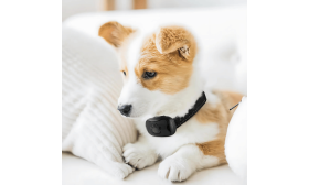 Kołnierz antyszokowy dla psa z wzorem łapki, regulowany, dla psów o wadze 12-110 funtów, do 22 cali.