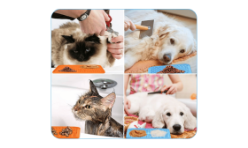 Nietoksyczna Mata do Lizania ze Szpatułką dla Psa