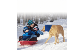 Komin Uspokajający dla Psa – Osłania uszy, Wytłumia hałas i Chroni przed Zimnem