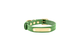 Luksusowa obroża z prawdziwej skóry dla psa w zielonym kolorze z wbudowaną złotą tabliczką ID, długość 34-37 cm.