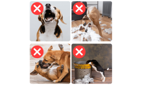 Regulowany Odblaskowy Kaganiec dla Psa – przepuszczający powietrze i wygodny