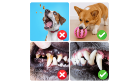 Piłka na Przysmaki dla Psa – Interaktywna Gumowa Zabawka Gryzak