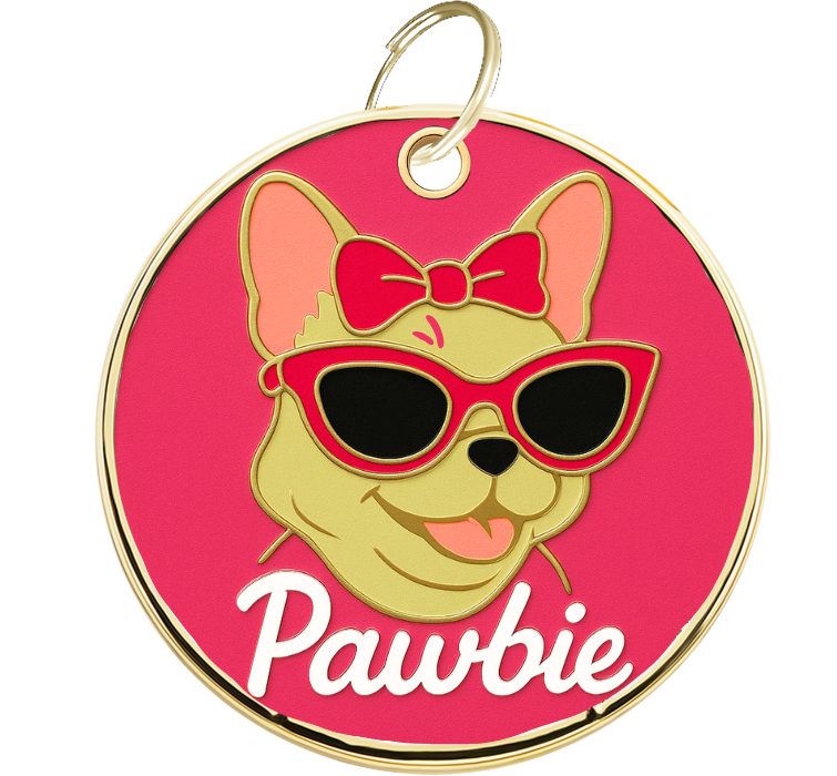 Grawerowana zawieszka Pawbie dla psa