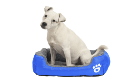 Miękkie Legowisko dla Psa