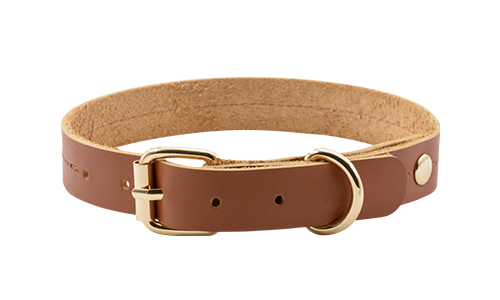 Wysokiej Jakości Skórzana Obroża dla Psa Luksusowa skórzana obroża dla psa w kolorze brązowym, długość 27-34 cm, szerokość 2,2 cm, z złotą klamrą i pierścieniem D.